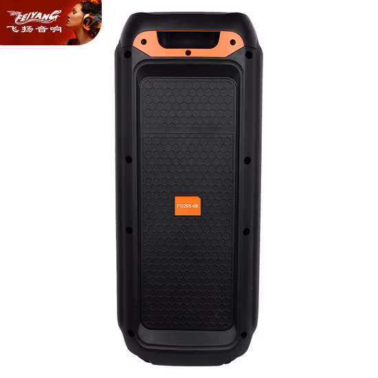 Doble 6,5 pulgadas Feiyang Bluetooth recargable al aire libre DJ Trolley Tws Altavoz de audio