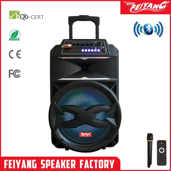 Feiyang Tws Parlante Active Trolley DJ Bluetooth Audio Altavoz Caja de sonido