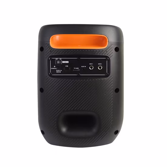 Temeisheng Bluetooth 6,5 pulgadas Radio portátil Bluetooth inalámbrico fiesta altavoz con micrófono opcional