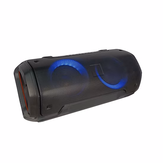 Altavoz para fiestas Temeisheng, altavoz portátil con altavoz de graves de 8 pulgadas y luces LED